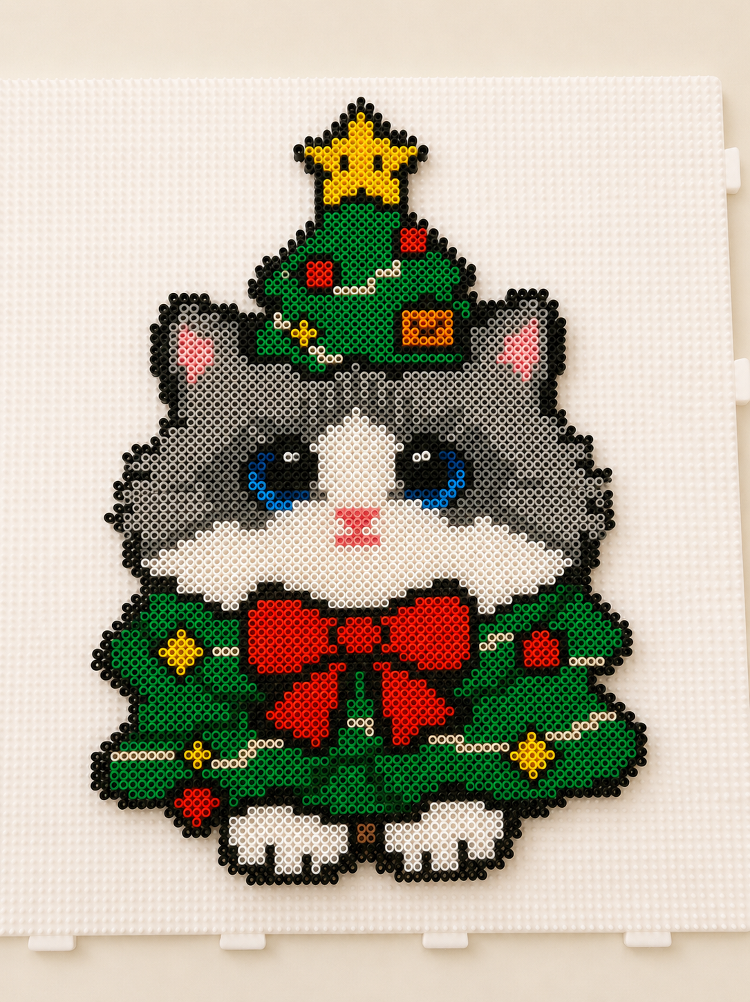 Holiday cat